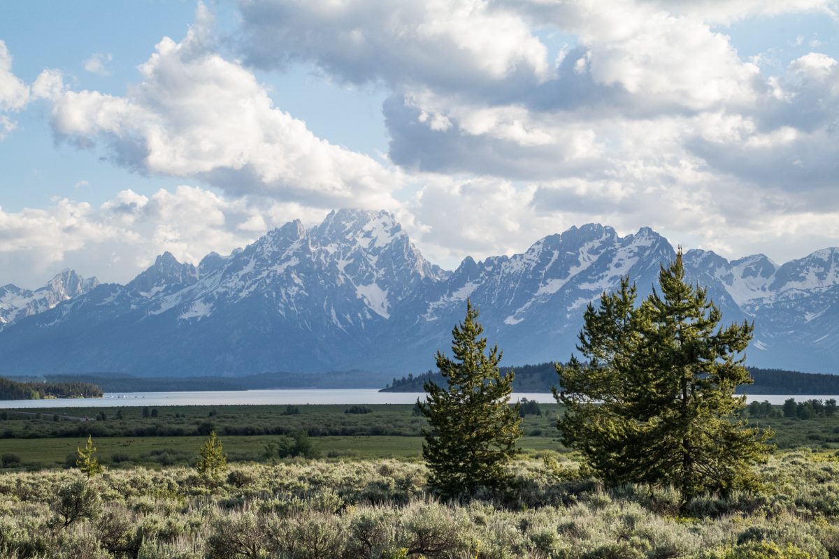 A landscape depiction of the Grand Tetons at Grand Teton National Park in Wyoming.