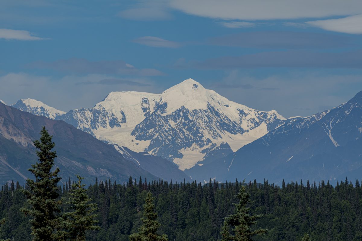 Mount Denali towering above a forest of pine trees at Denali National Park and Preserve in Alaska.