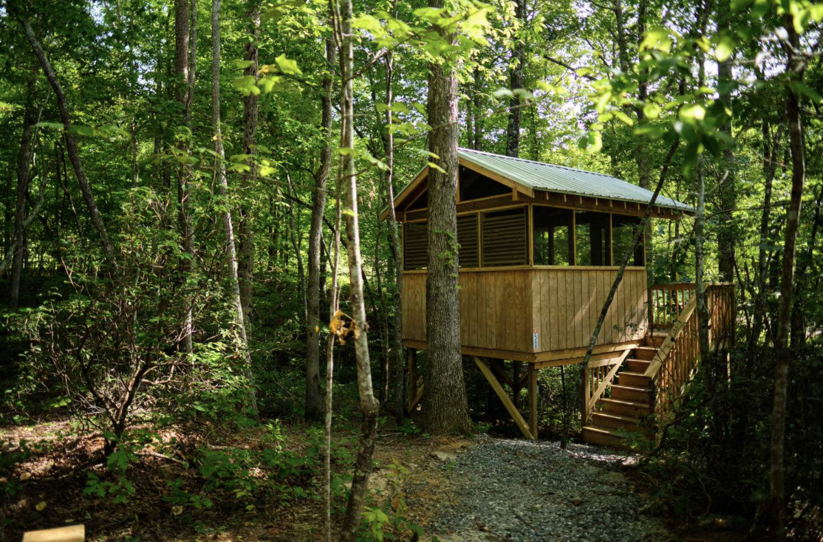 Primitive tree house in the woods surrounded by trees 