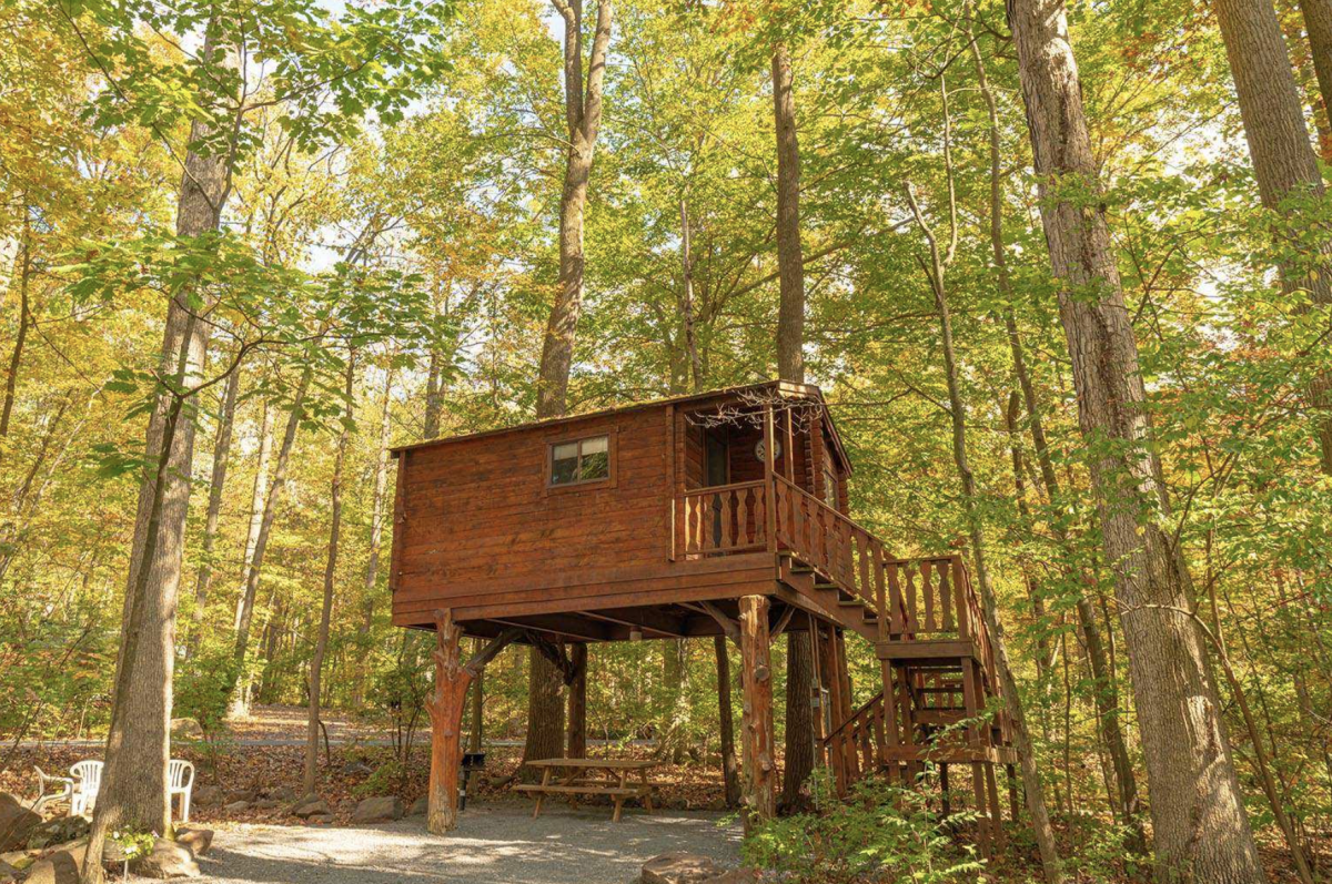 Treehouse cabin in the woods with picnic table tucked beneath 