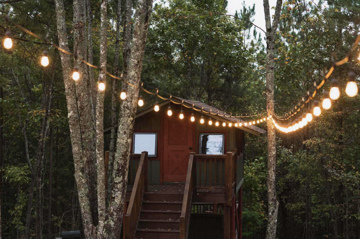 Treetop cabin in the woods with string lights.