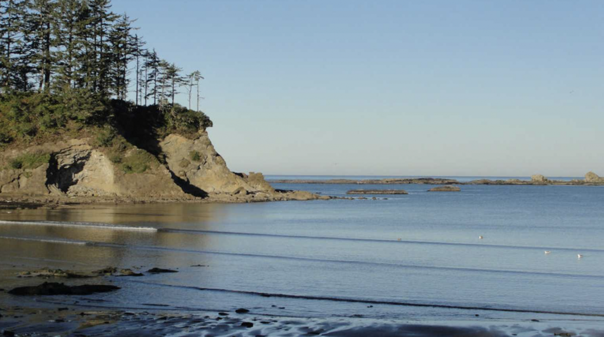 Ocean coast with bluff and trees at Oceanside RV Resort and Campground