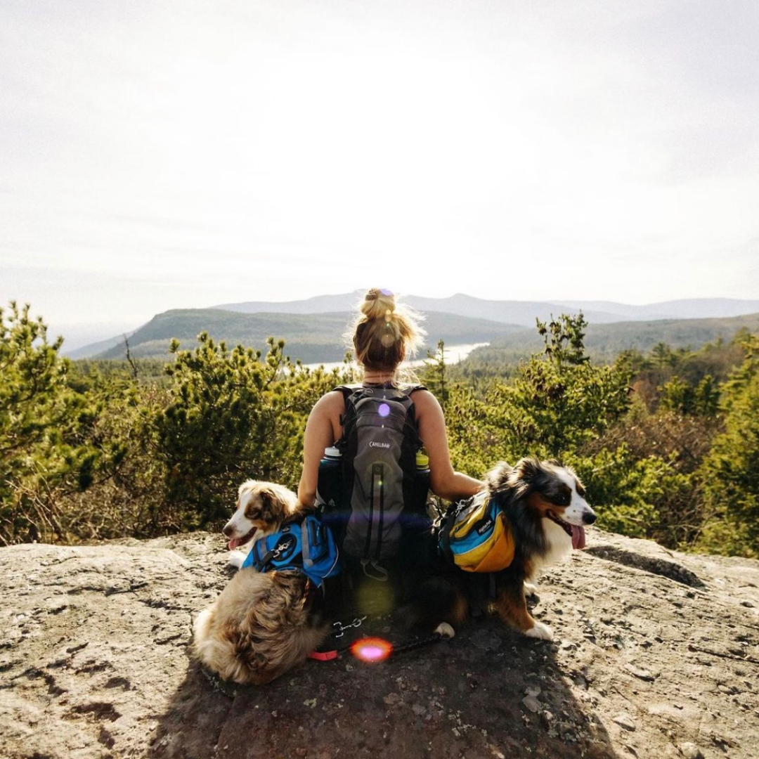 Campspot Ambassador, Jackie with her two dogs hiking in New York