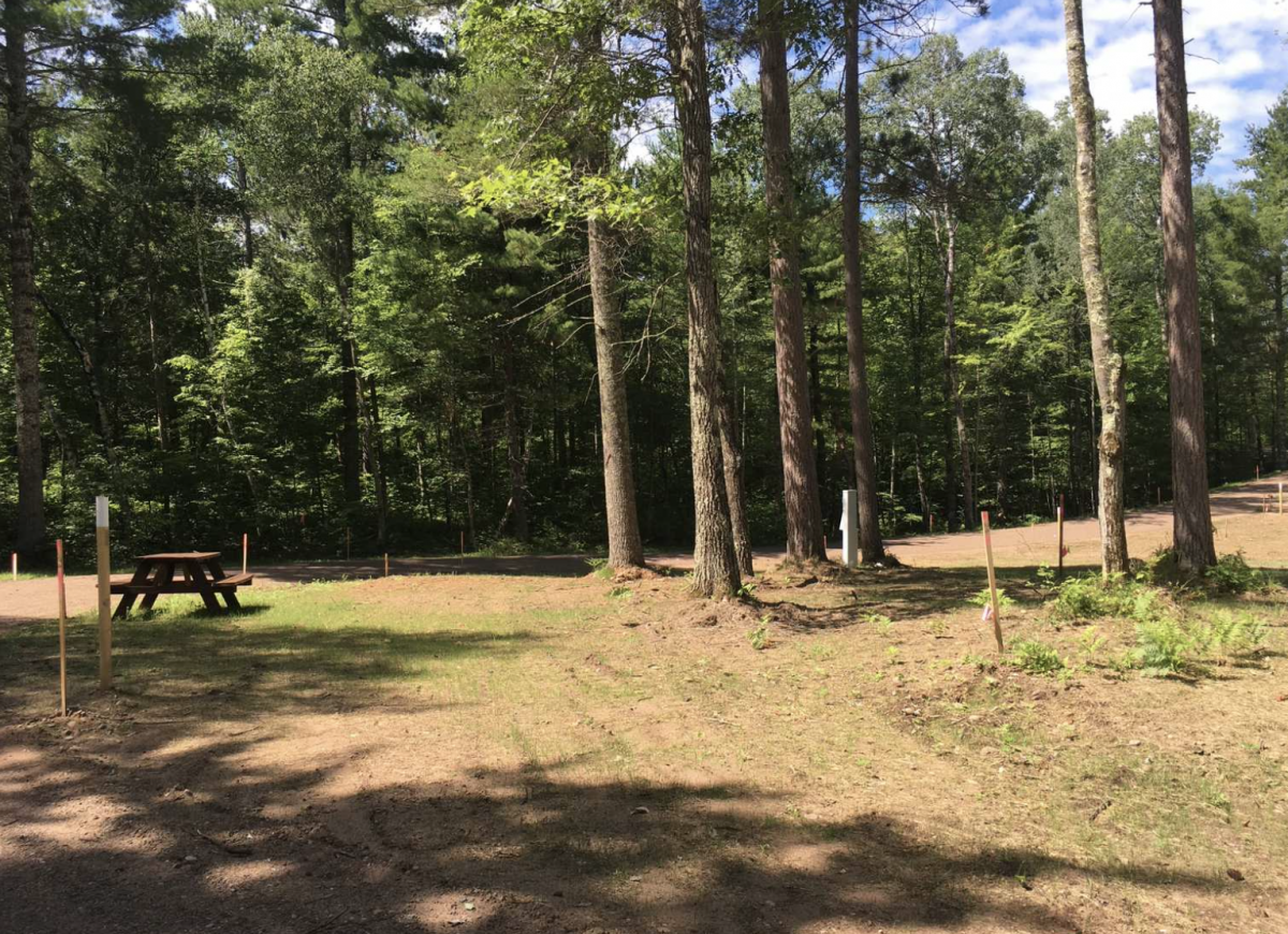 Woods with campground and picnic table.