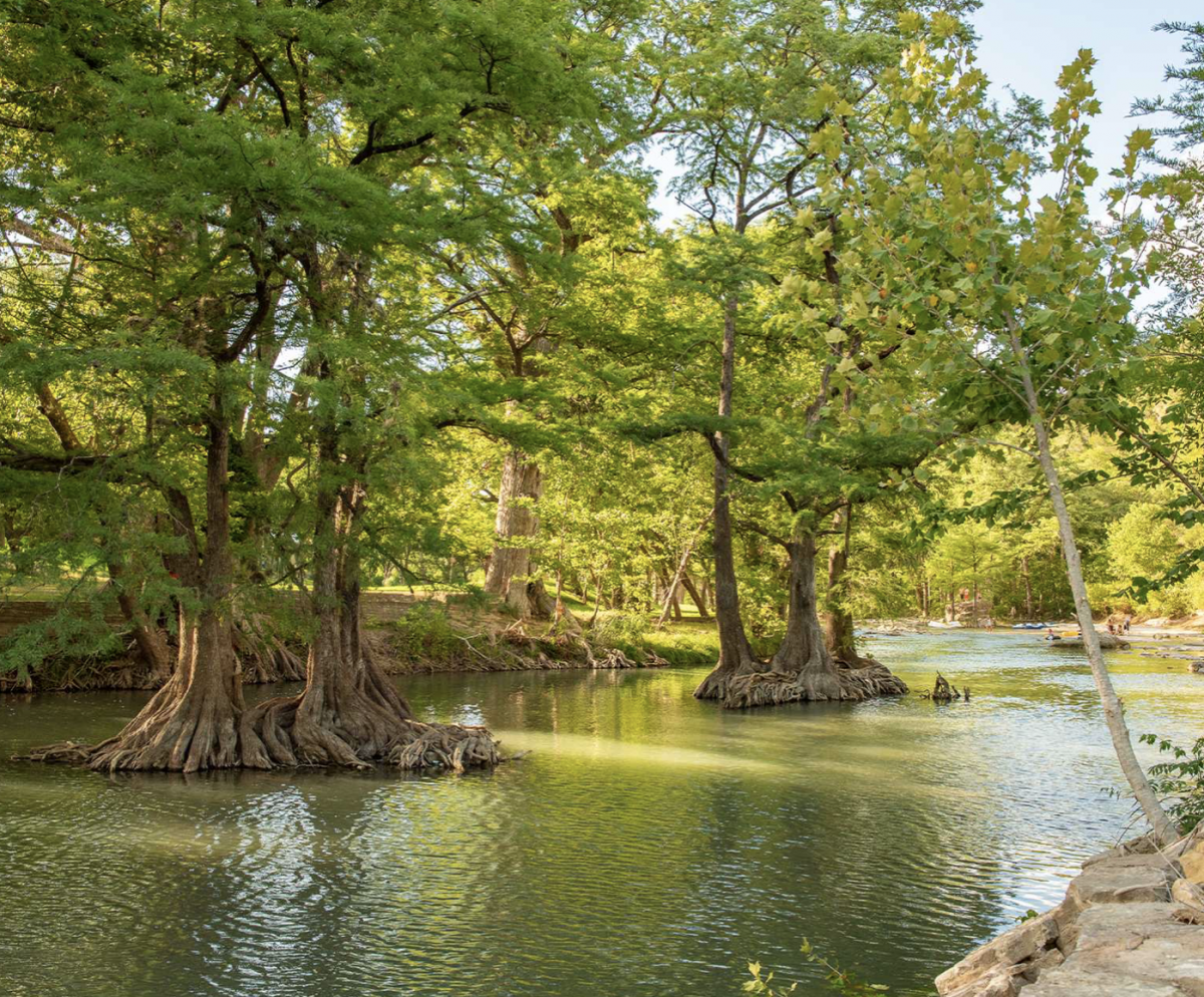 Guadalupe River at Camp Fimfo in Texas