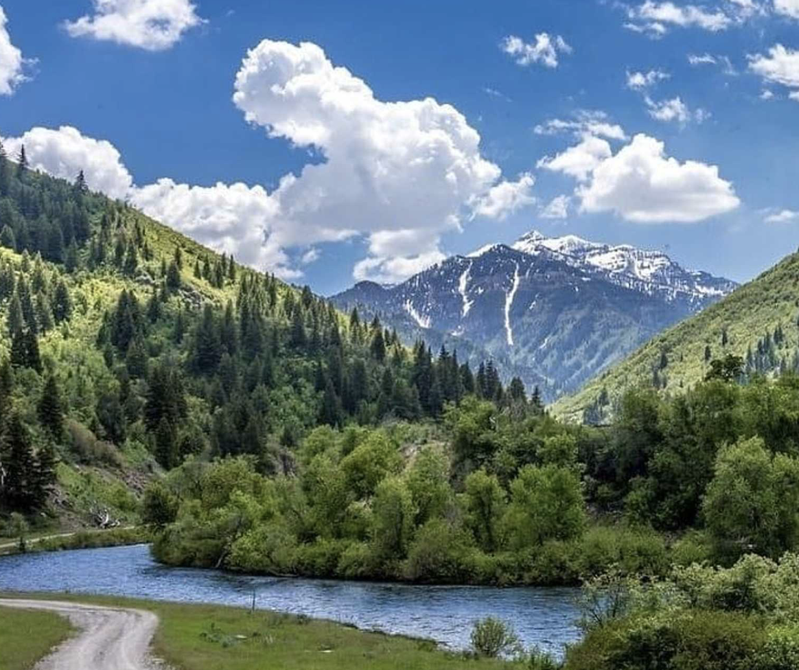 Mountains and river at Provo River Resort