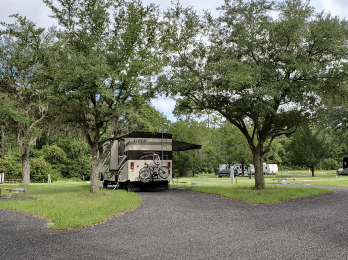 RV parked under the trees at Moonshine Acres RV Park