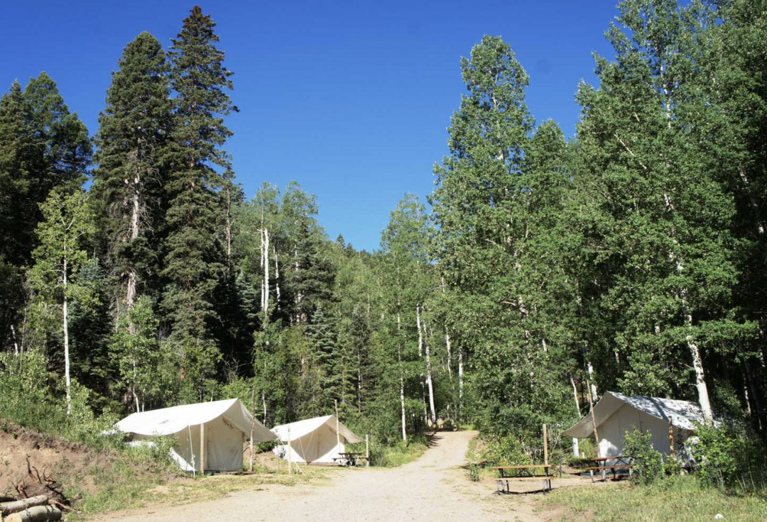 Outfitter tents in the woods at Aspen Acres Campground