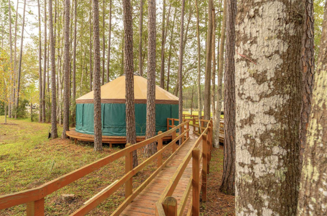 Yurt rental in the woods at 