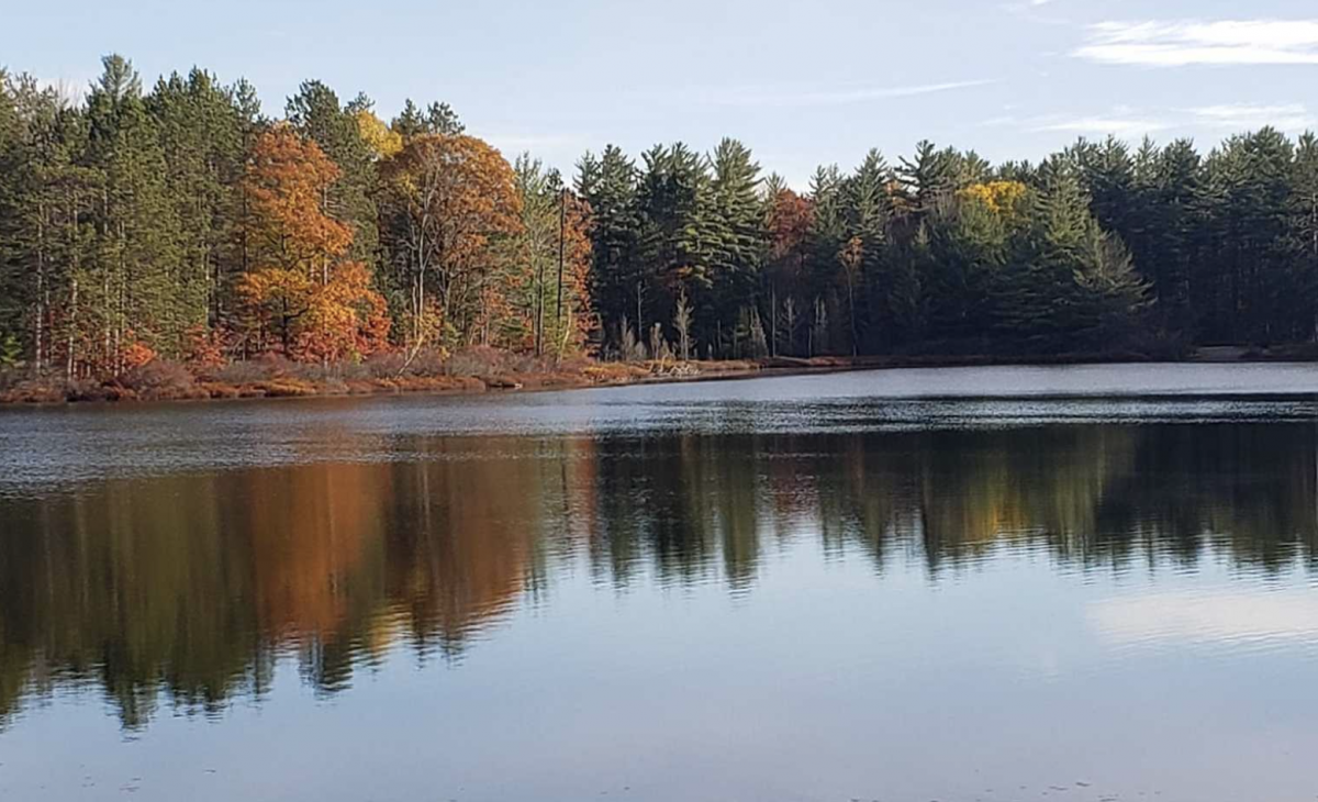 Fall leaves over the lake in Northern Michigan.