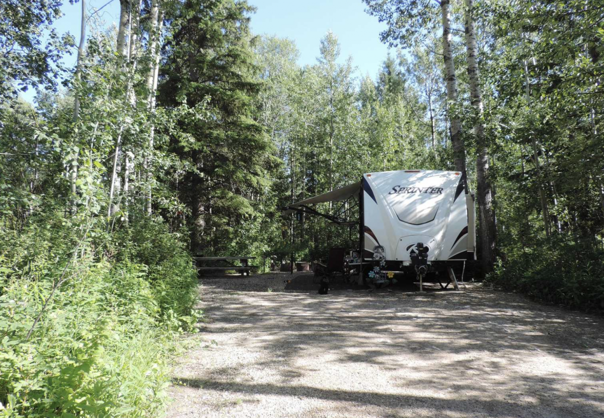 RV parked in the woods at Nitehawk Year-Round Adventure Park. 