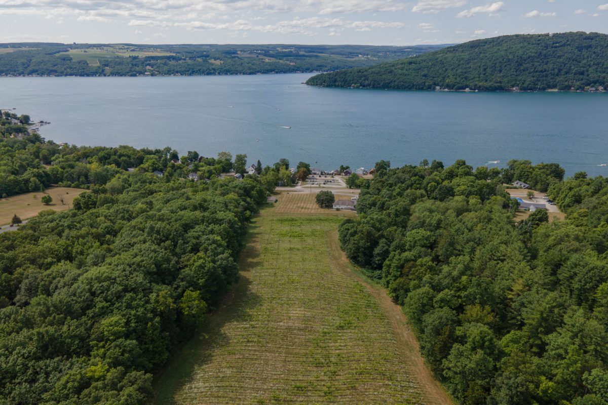 An aerial view of Ravine Wine Cellars and Vineyards property going down to the lake shore of Keuka Lake.