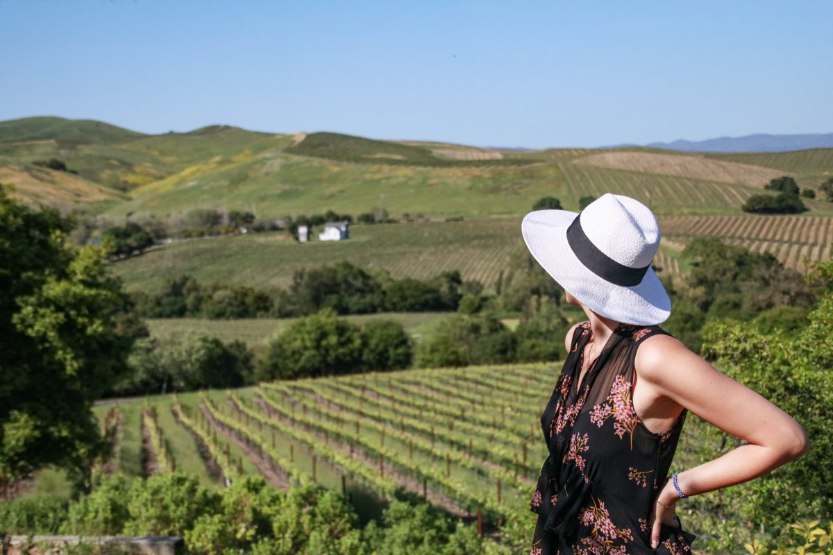 A woman wearing a white hat looks out to rolling hills of vineyards. 