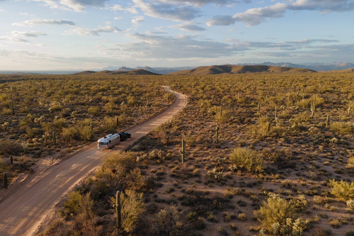 An SUV pulling an Airstream trailer goes through a forest of saguaro cacti in Arizona.