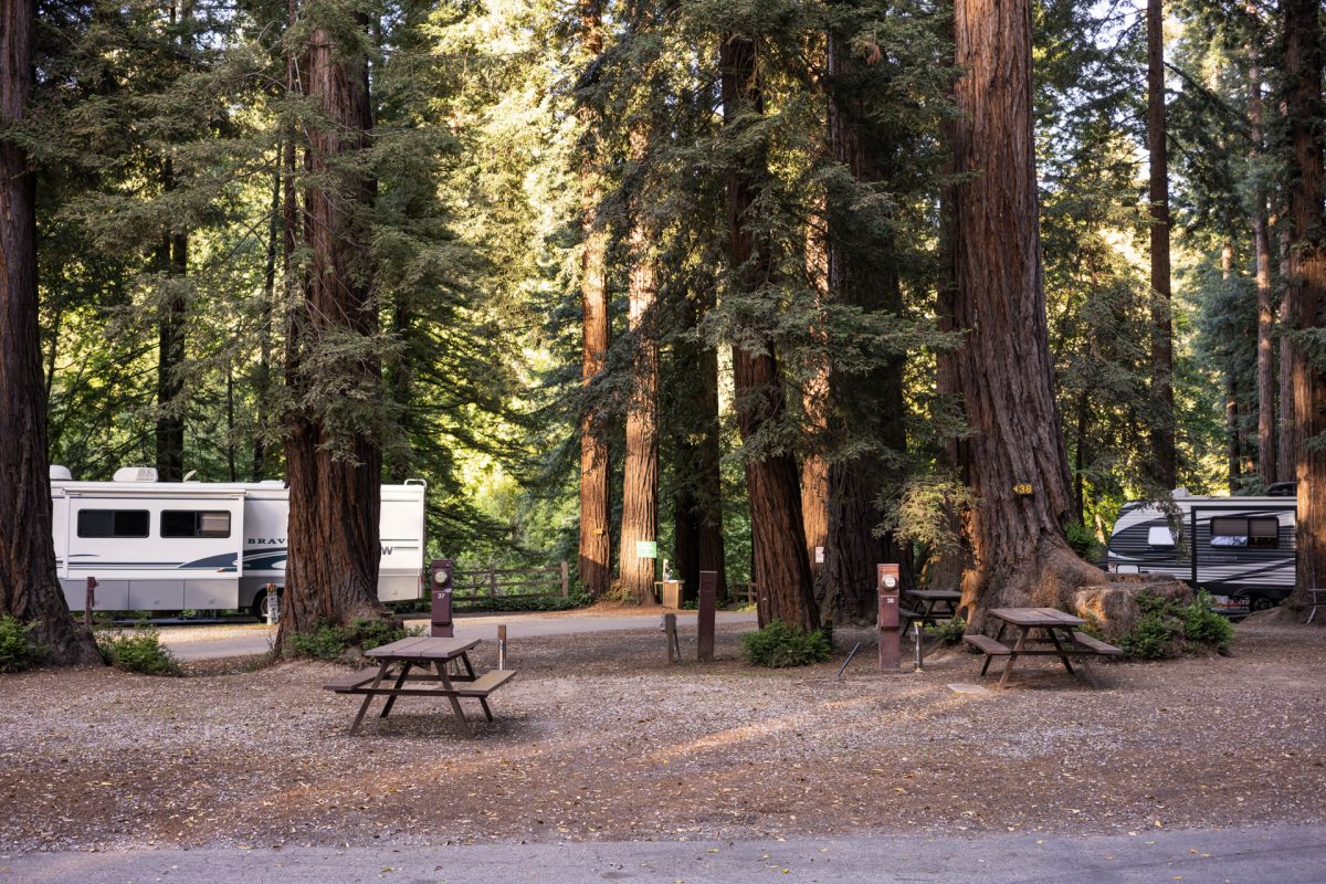 Empty RV sites at the Santa Cruz Redwood RV Resort in Felton, California.