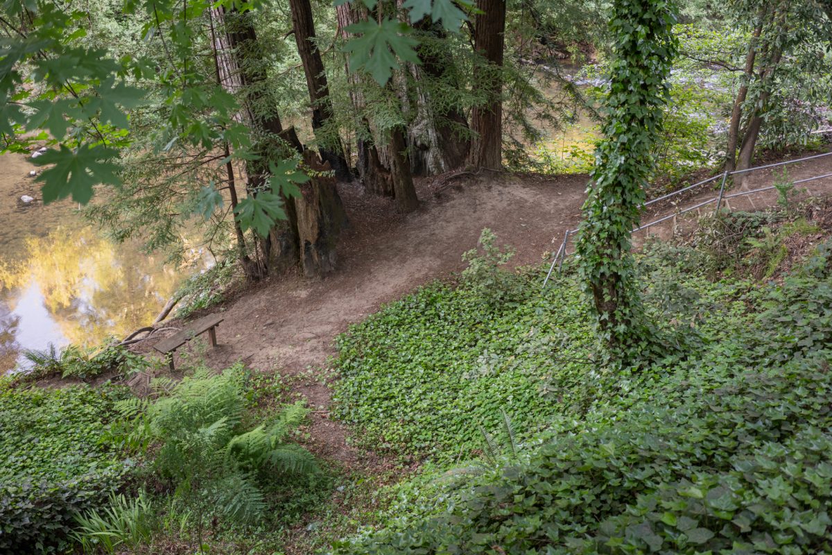 The path leading down to the San Lorenzo River at the Santa Cruz Redwoods RV Resort in Felton, California.