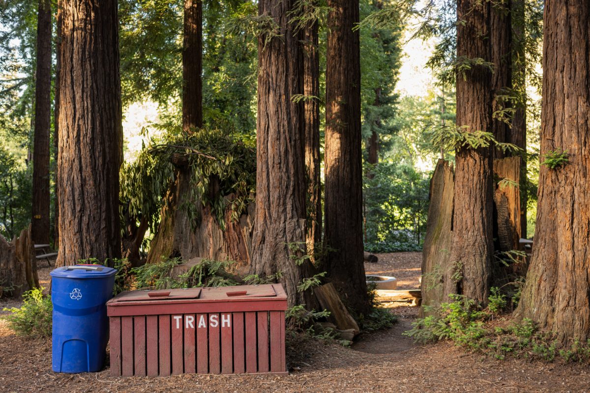 The trash and recycling bins at the Santa Cruz Redwoods RV Resort in Felton, California.