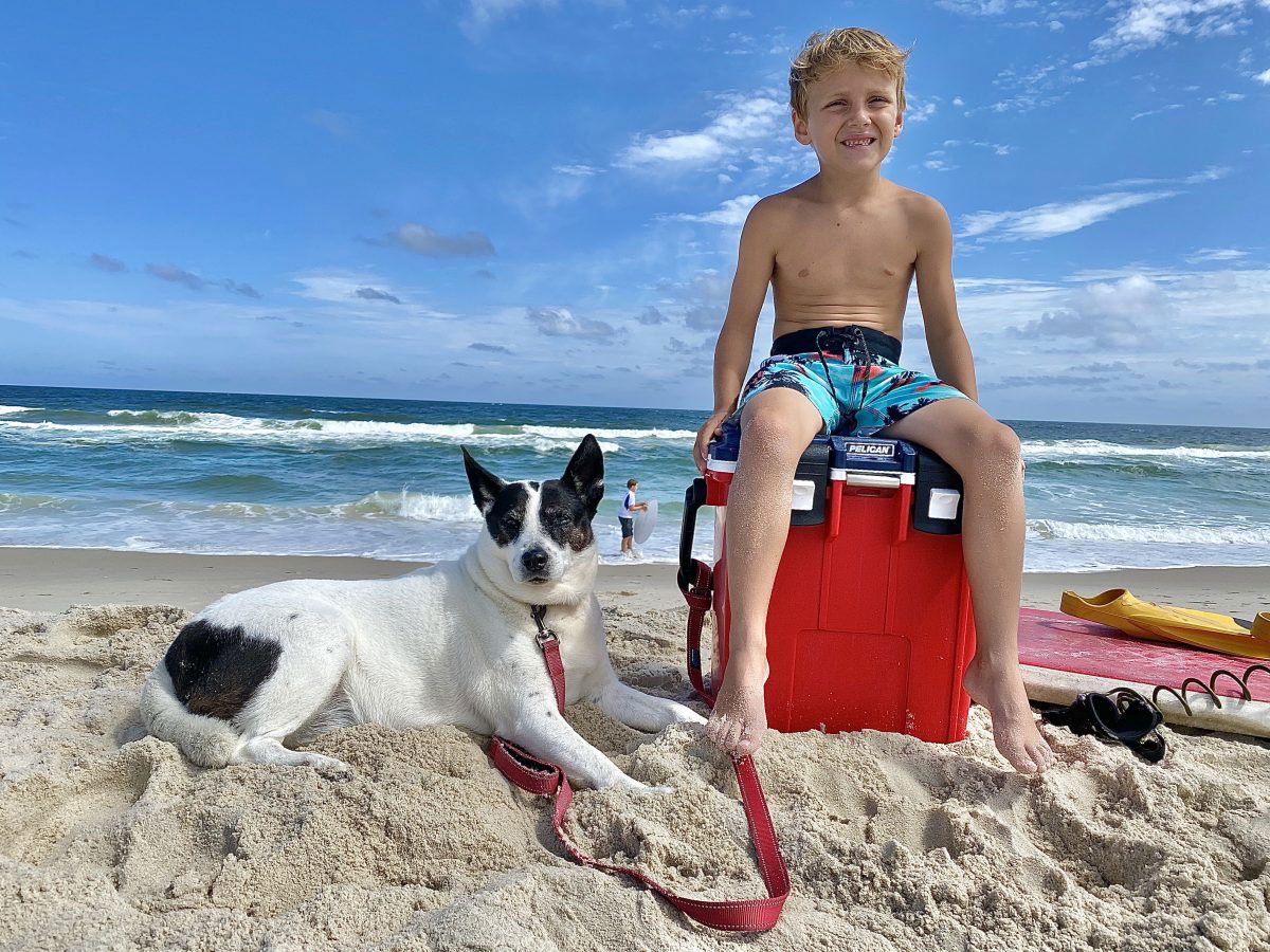 Boy sitting on red cooler at the beach next to dog.