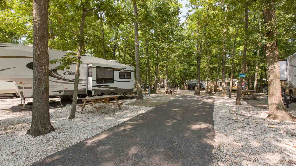 RV sites in the woods at Seashore Campsites