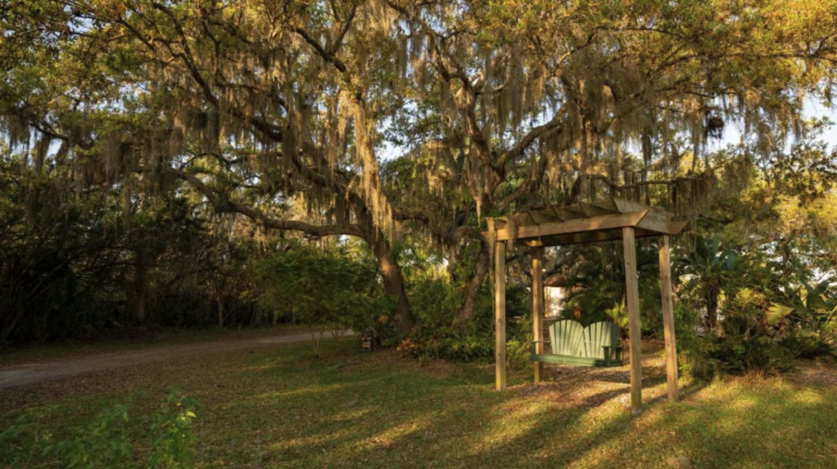 Relaxation area under Spanish moss covered trees at Horseshoe Cove RV Resort (55+) in Bradenton, Florida