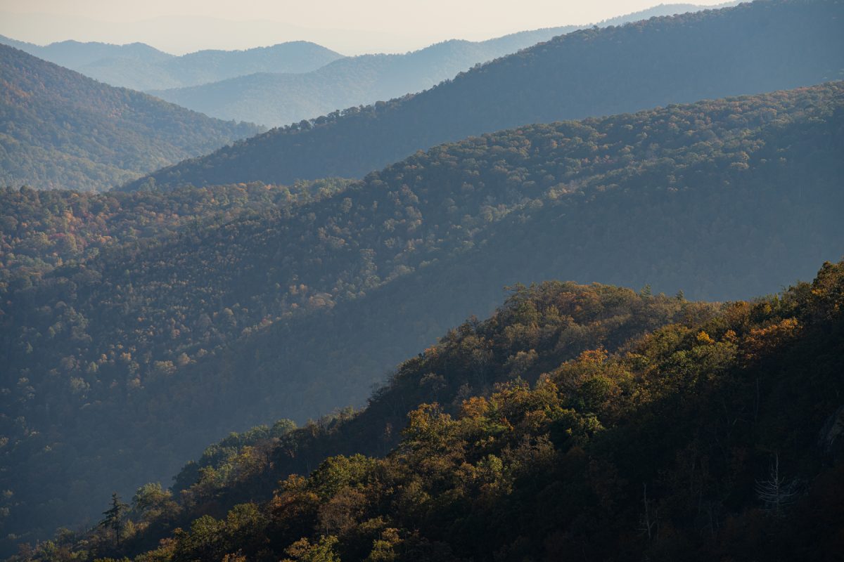 The rolling landscape of the Shenandoah Mountains in Virginia.