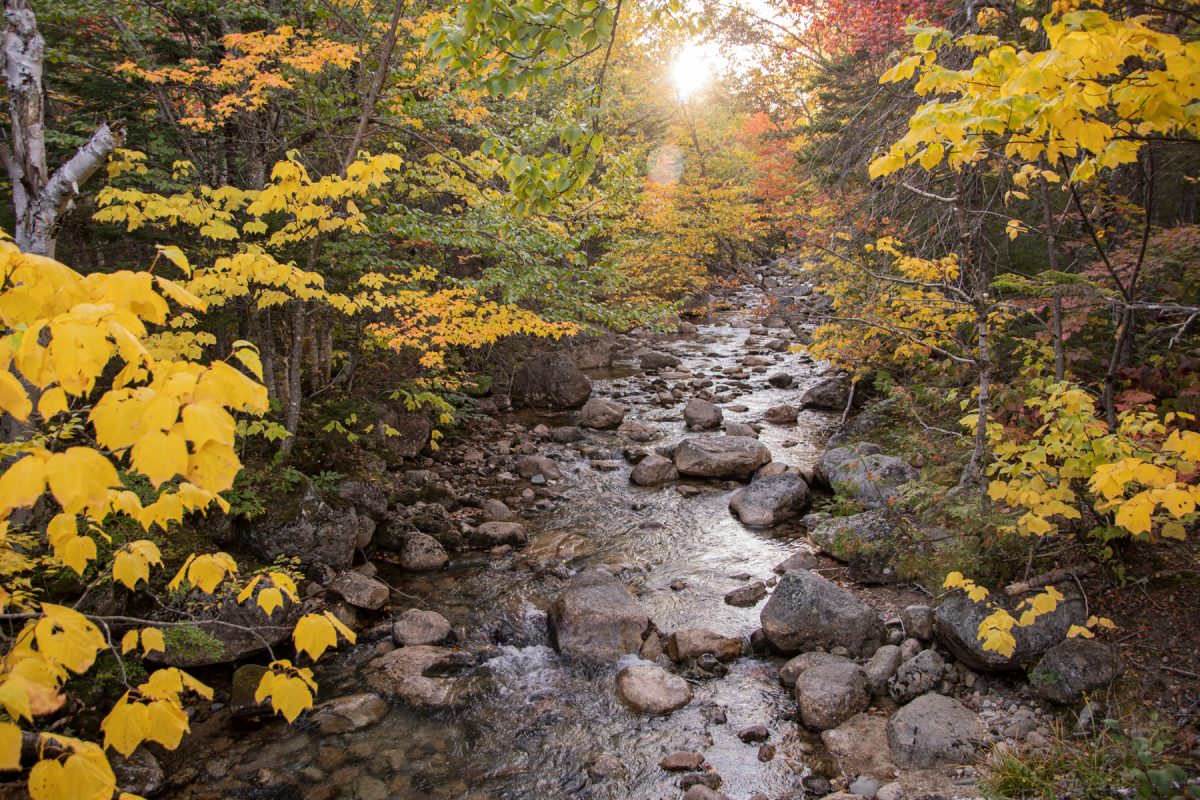 Roaring Brook in Baxter State Park in the Autumn and Fall.