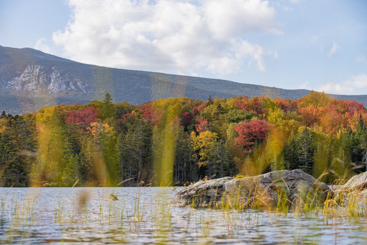 Sandy Stream Pond seen through pond grass with colorful fall trees in the back and Mt. Katahdin in Baxter State Park in Maine.