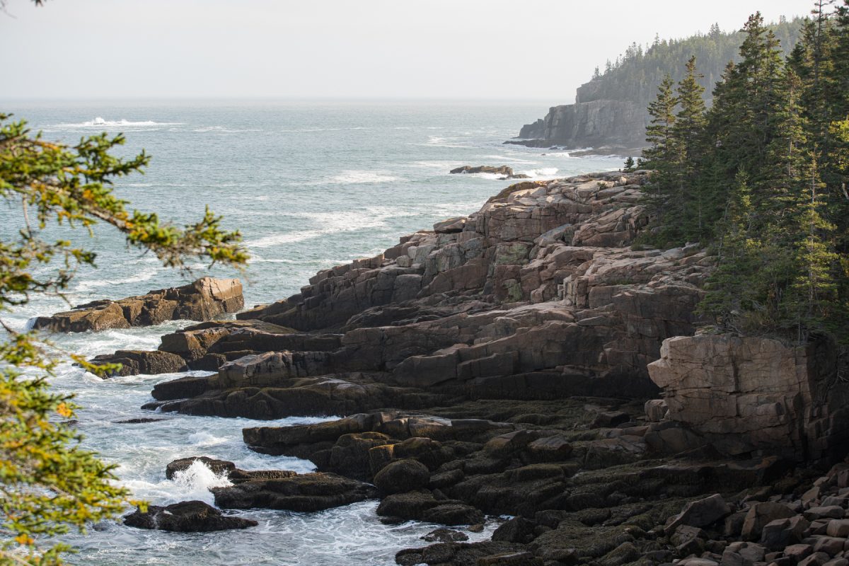 The rocky coast of Acadia National Park in Maine.