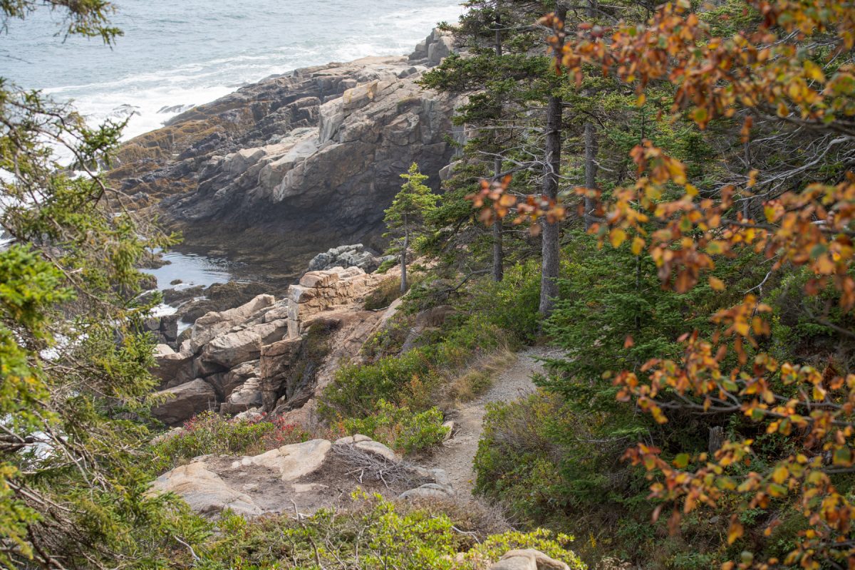 Ocean Path going along the water in Acadia National Park in Maine.