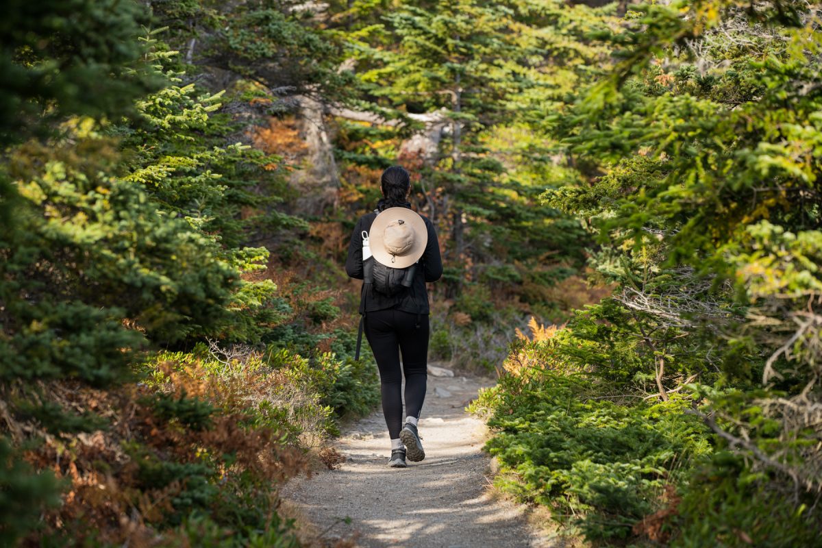 A hiker walks along the Ocean Path Trail in Acadia National Park in Maine.