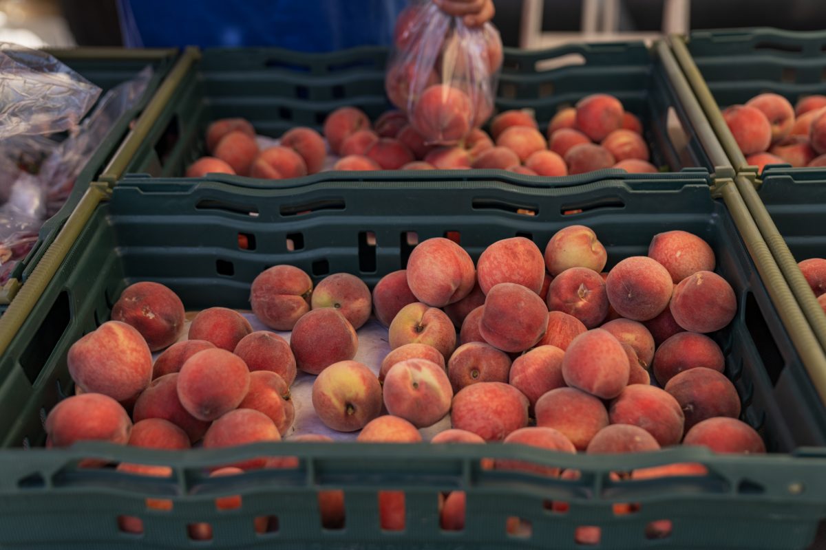 Peaches displayed at the Felton Farmers' Market in Felton, California, near the redwoods and Santa Cruz.