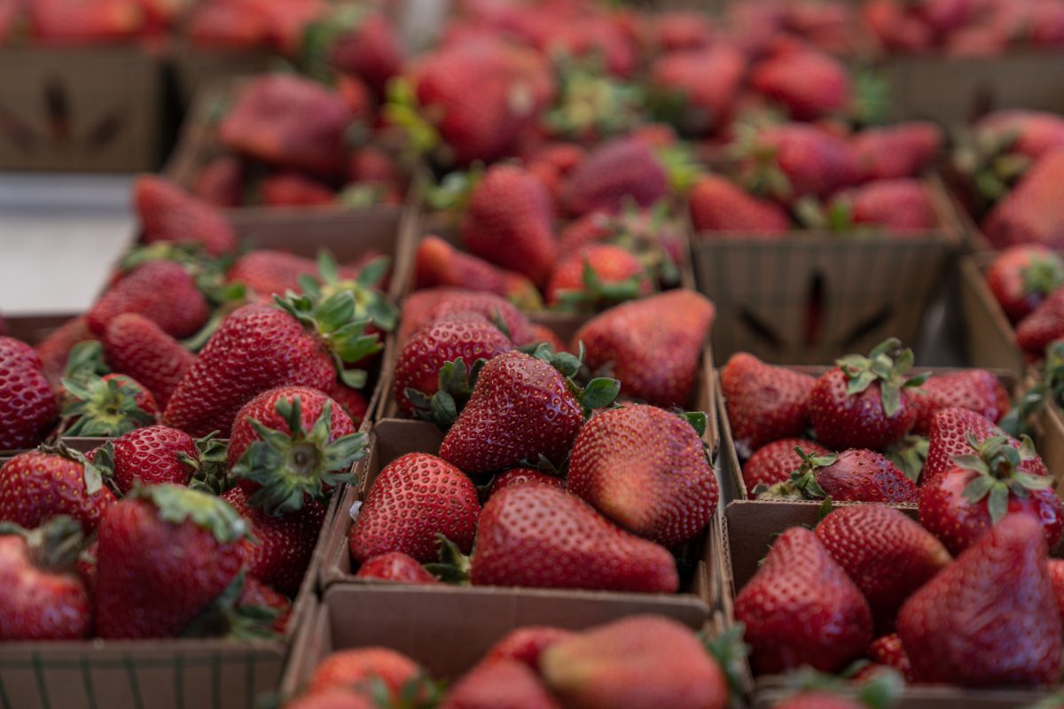 Strawberries on display at Felton Farmers' Market in Felton, California.