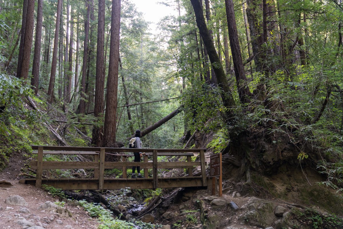 A person hikes over Fall Creek on the Cape Horn Loop Trail in Henry Cowell Redwoods State Park near Santa Cruz, California.