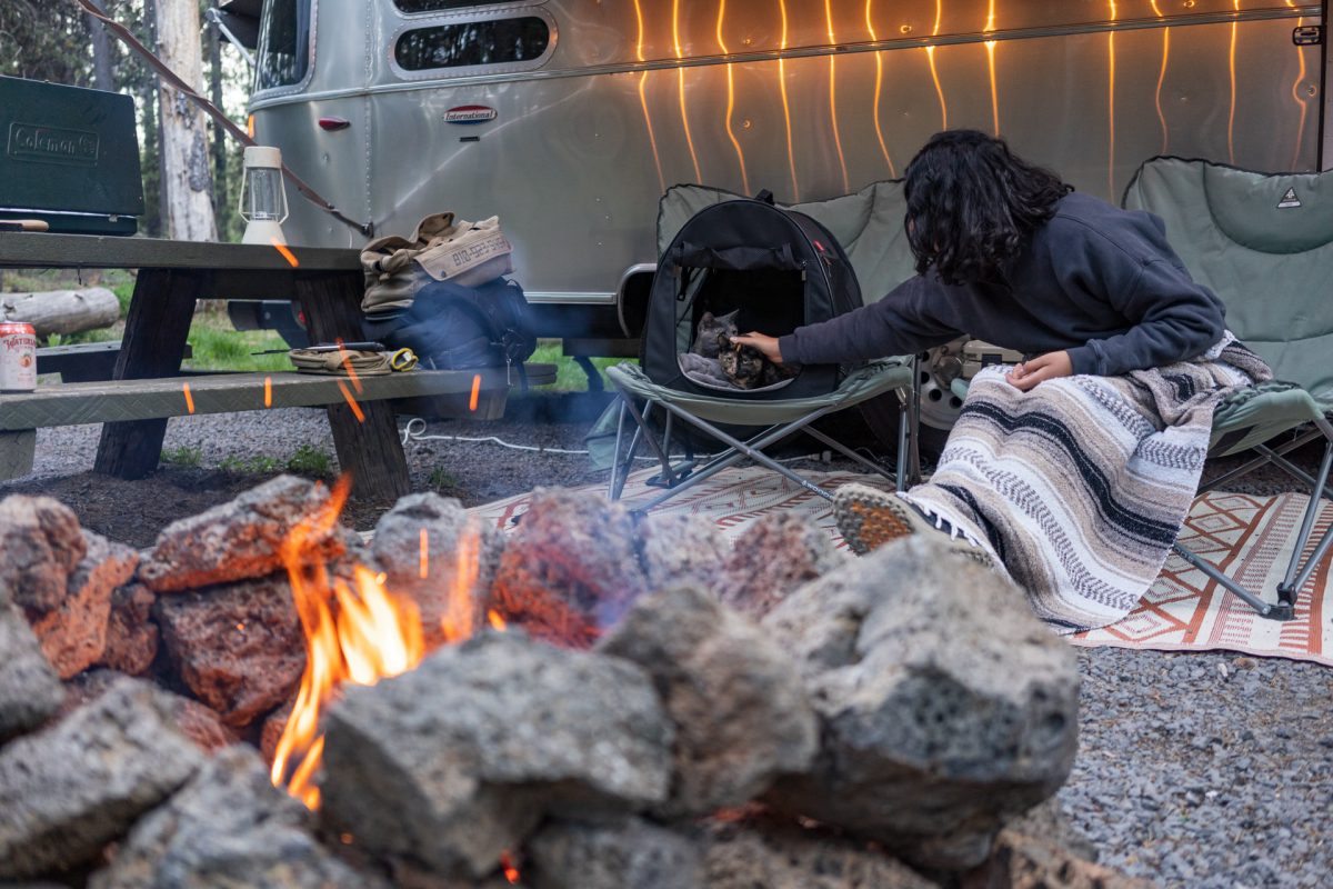 A woman sits in front of a campfire in a campsite, petting the cats in the crate next to her.