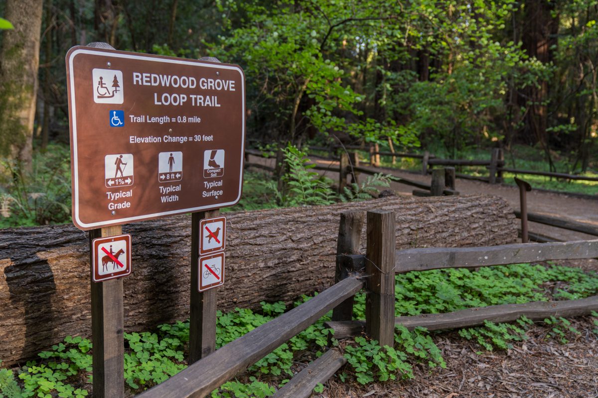 The entrance to the Redwood Grove Loop Trail in Henry Cowell Redwoods State Park near Santa Cruz, California.