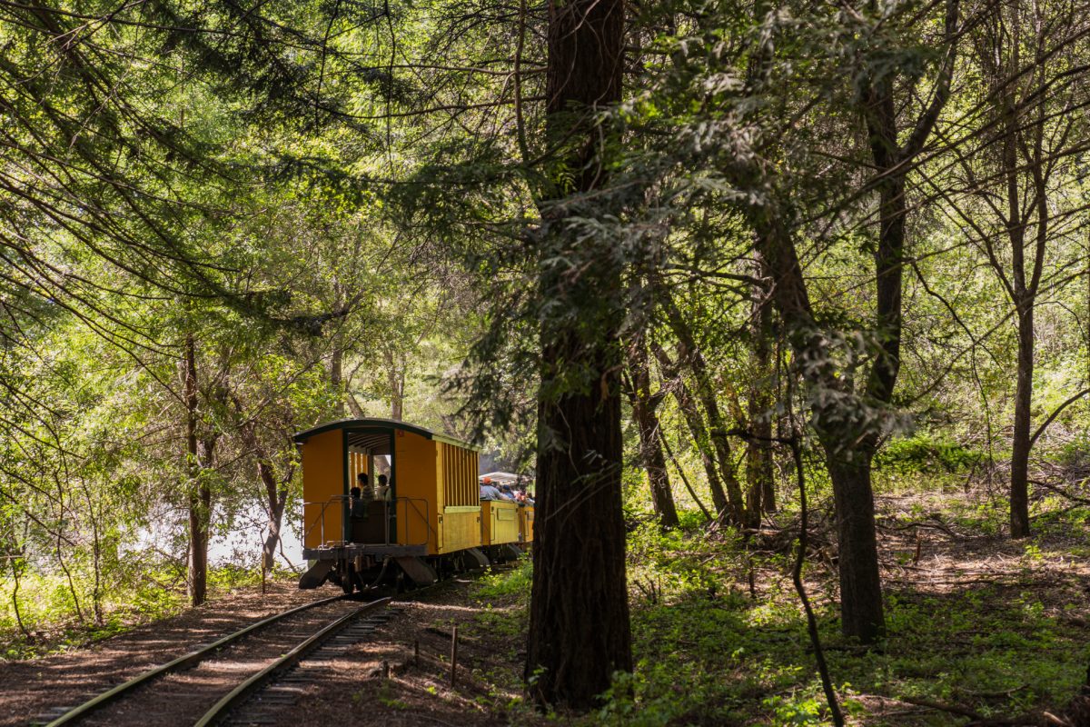 The caboose on the Redwood steam train on the Roaring Camp railway near Santa Cruz, California. 