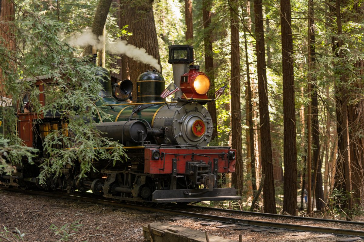 Roaring Camp's steam train going through the Redwoods near Santa Cruz, California.