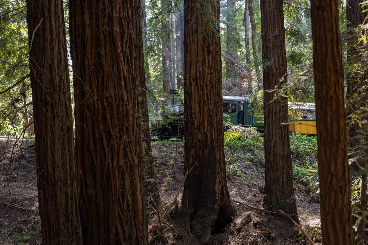 Roaring Camp's steam train through Redwoods near Santa Cruz, California.