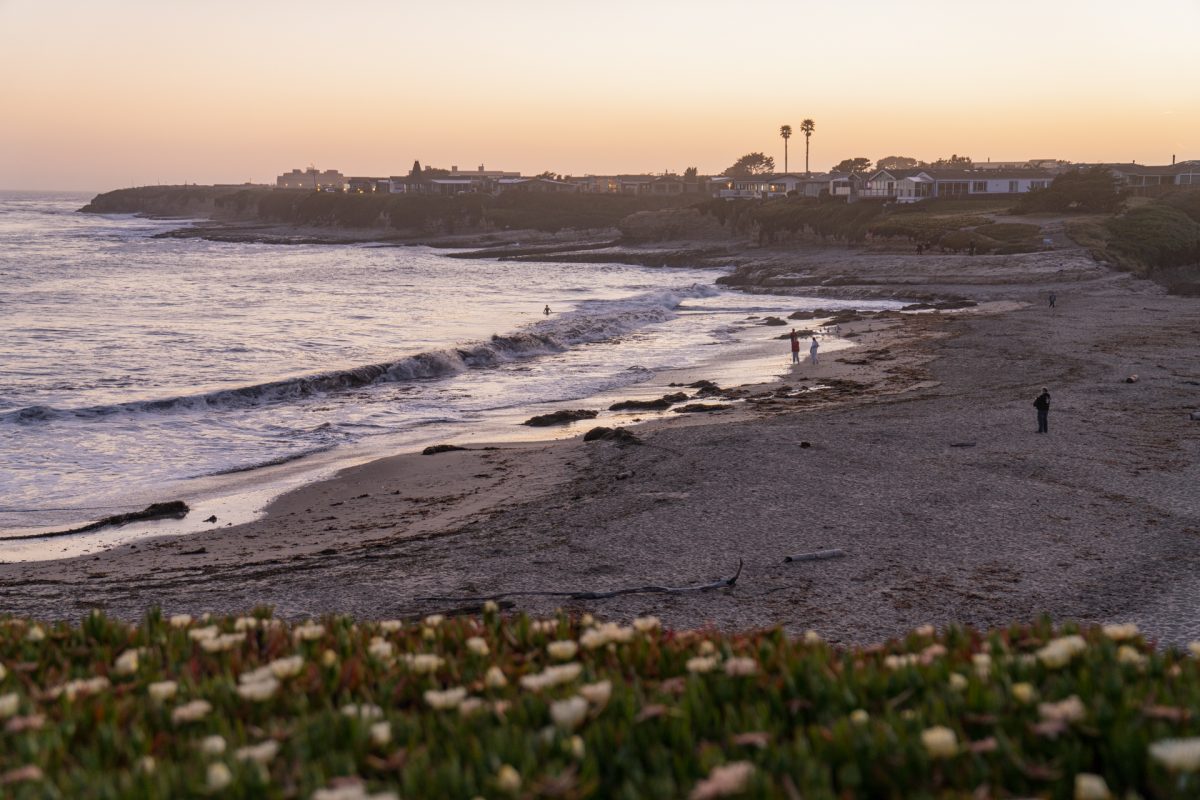 The sunset at Natural Bridges State Beach in Santa Cruz, California.