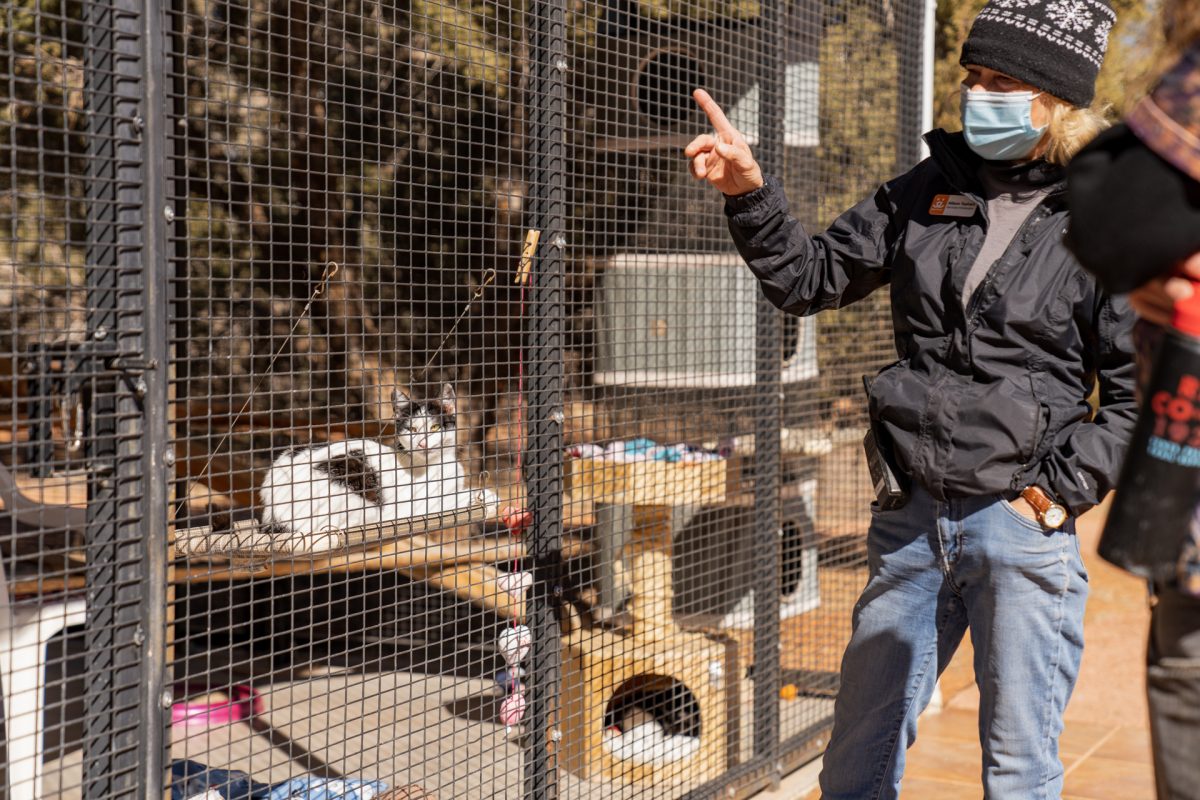 A volunteer explains how they take are of the over 600 cats at Cat World in Best Friends Animal Sanctuary located in Kanab, Utah.