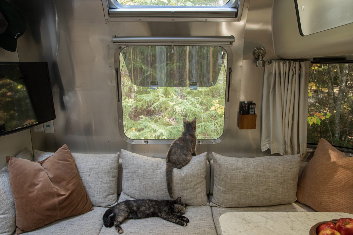 A cat looks out of an Airstream trailer while camping. Another cat sleeps on the couch.