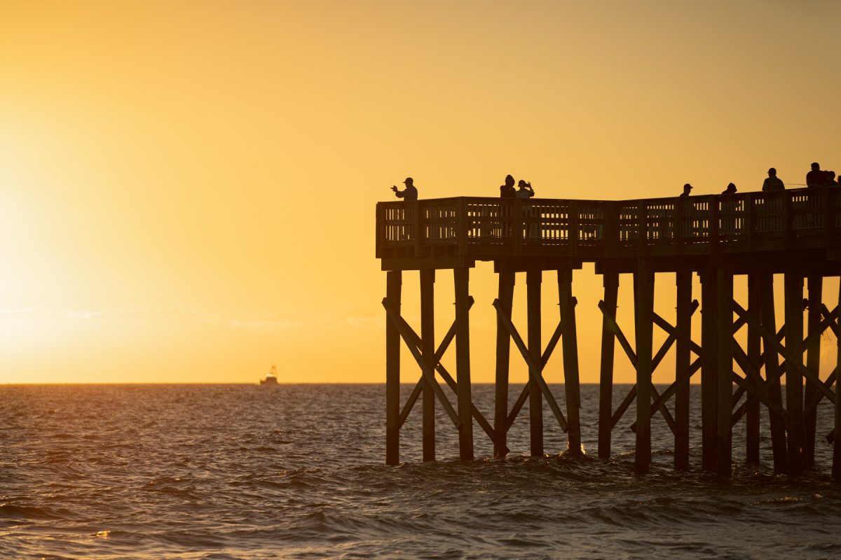 Snowbirds look out to the sunset at St. Andrews State Park in Panama City, Florida.