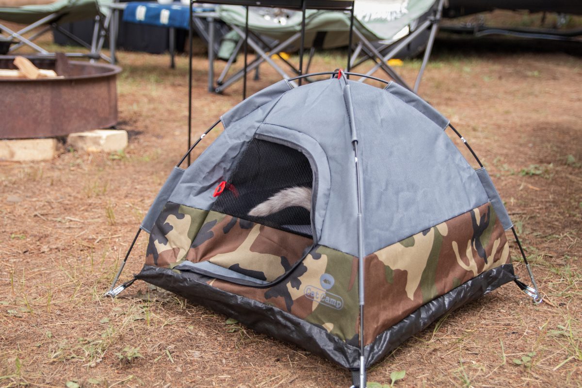 A cat goes into a cat camp tent, with its tail sticking out.