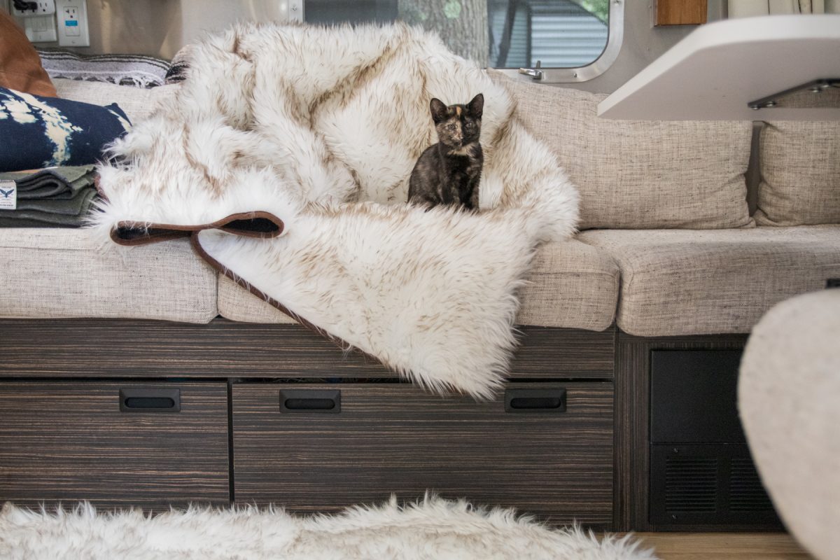 A tiny kitten sits on fluffy blankets on the couch of an Airstream RV trailer while camping.