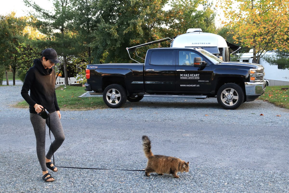 A woman walks a cat on a leash around a campground.