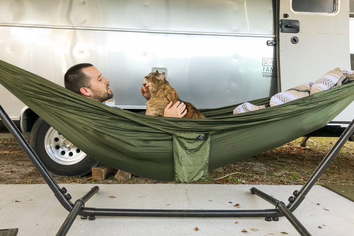 A man pets a fluffy cat while sitting in a hammock and camping.