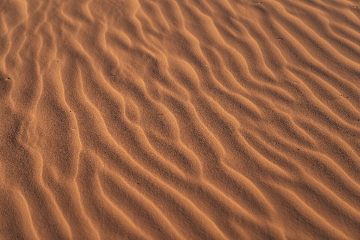 The wind textures in the sand at Coral Pink Sand Dunes State Park that's a popular destination outside of Kanab, Utah.