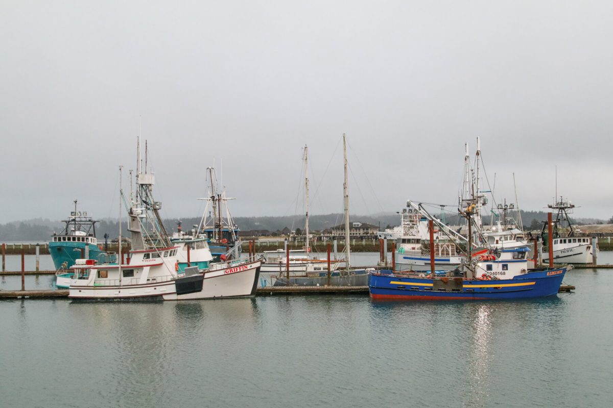 Fishing boats in the harbor of Newport, Oregon.