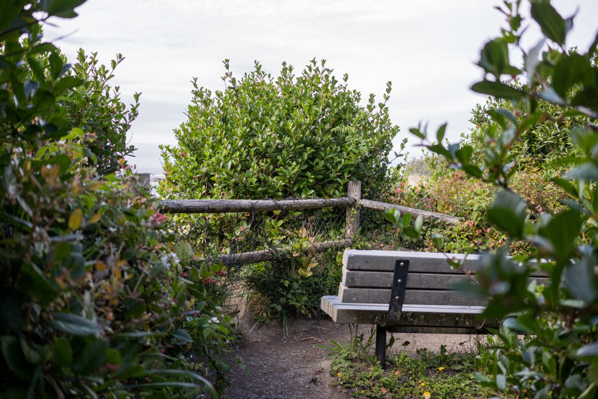 A bench along the Cape Arago Trail in Coos Bay, Oregon.