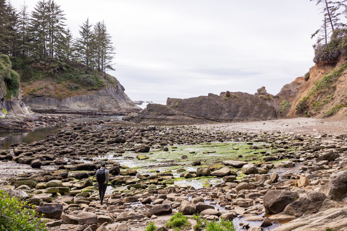 A person walks through the Norton Gulch on the Cape Arago Trail in Cape Arago State Park, located near Coos Bay, an Oregon camping destination.